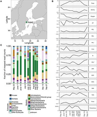 Dissection of Microbial Community Functions during a Cyanobacterial Bloom in the Baltic Sea via Metatranscriptomics